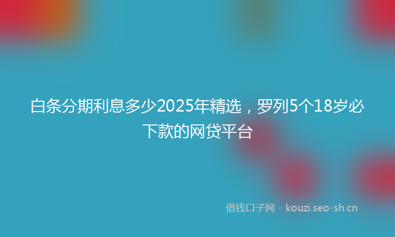 白条分期利息多少2025年精选，罗列5个18岁必下款的网贷平台