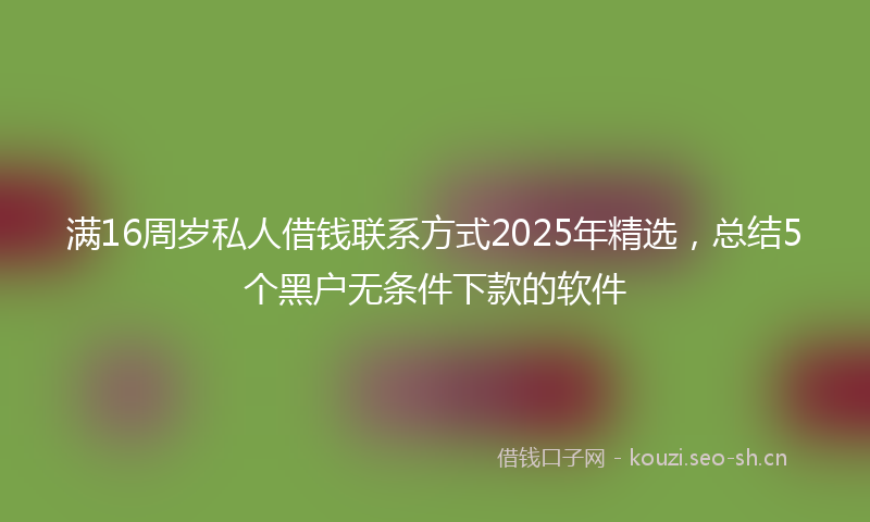 满16周岁私人借钱联系方式2025年精选，总结5个黑户无条件下款的软件