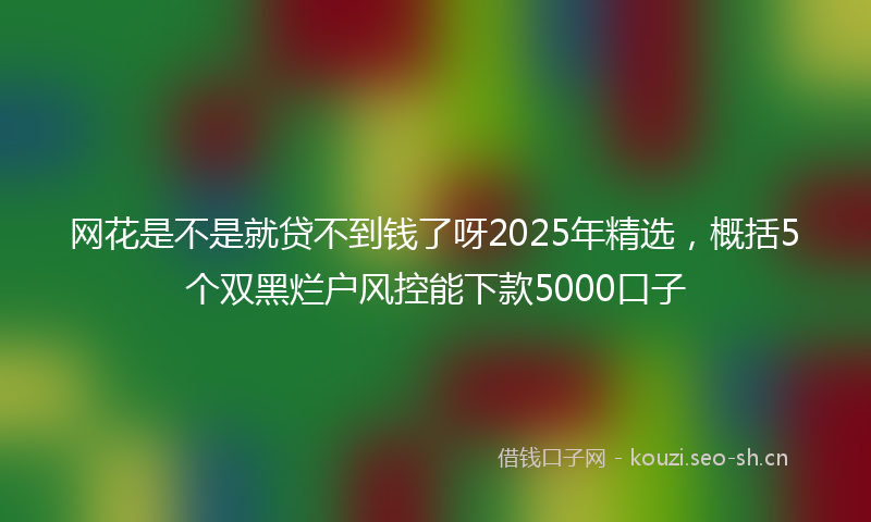 网花是不是就贷不到钱了呀2025年精选，概括5个双黑烂户风控能下款5000口子