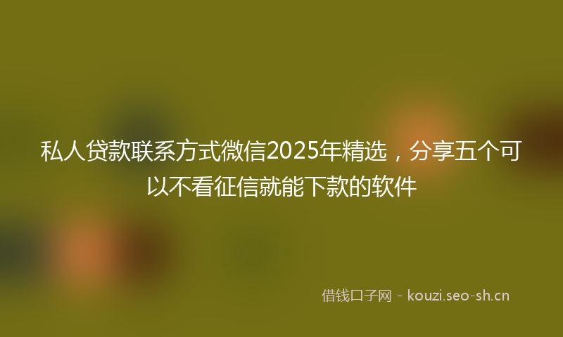 私人贷款联系方式微信2025年精选，分享五个可以不看征信就能下款的软件