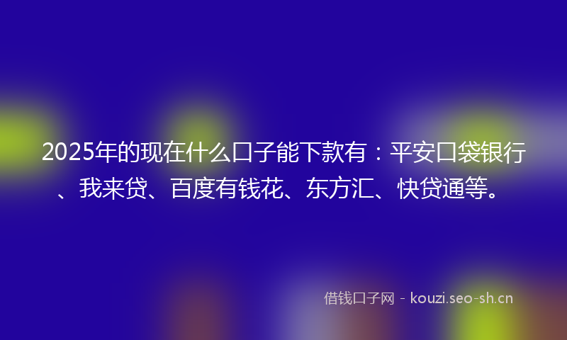 2025年的现在什么口子能下款有：平安口袋银行、我来贷、百度有钱花、东方汇、快贷通等。