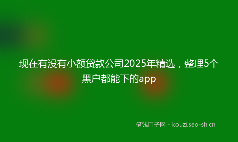 现在有没有小额贷款公司2025年精选，整理5个黑户都能下的app