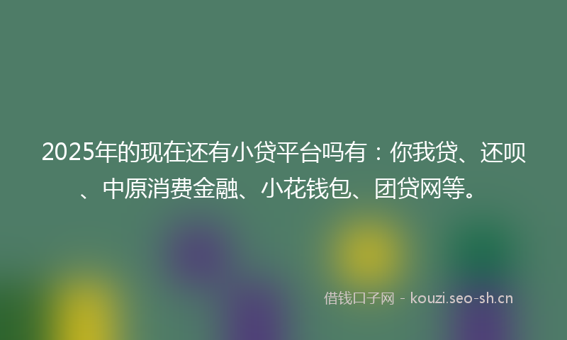2025年的现在还有小贷平台吗有：你我贷、还呗、中原消费金融、小花钱包、团贷网等。