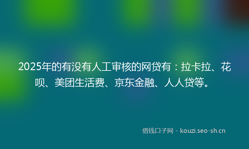 2025年的有没有人工审核的网贷有：拉卡拉、花呗、美团生活费、京东金融、人人贷等。