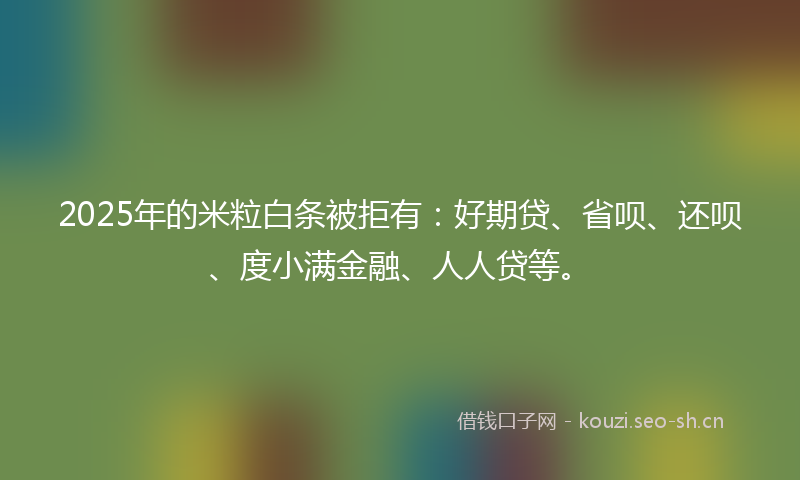 2025年的米粒白条被拒有：好期贷、省呗、还呗、度小满金融、人人贷等。