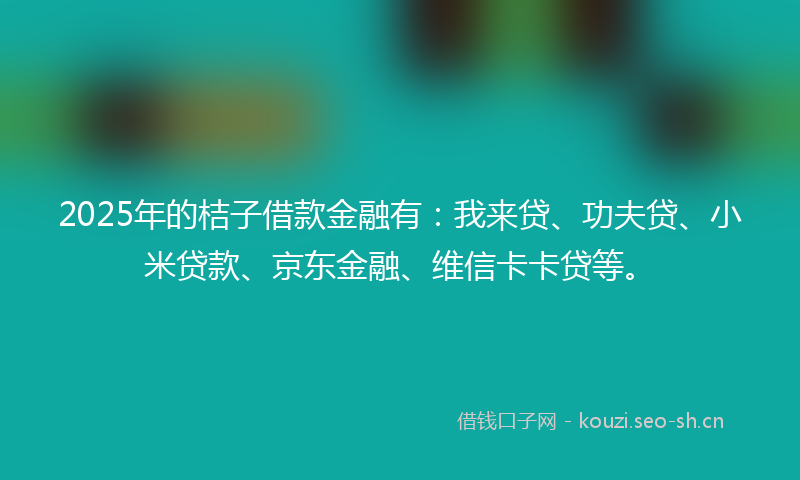 2025年的桔子借款金融有：我来贷、功夫贷、小米贷款、京东金融、维信卡卡贷等。