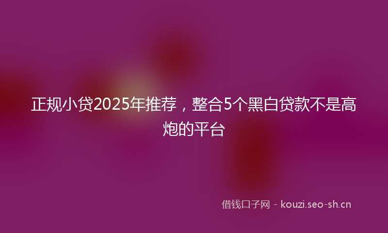 正规小贷2025年推荐，整合5个黑白贷款不是高炮的平台