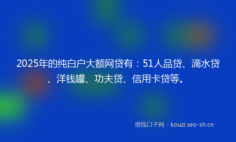 2025年的纯白户大额网贷有：51人品贷、滴水贷、洋钱罐、功夫贷、信用卡贷等。