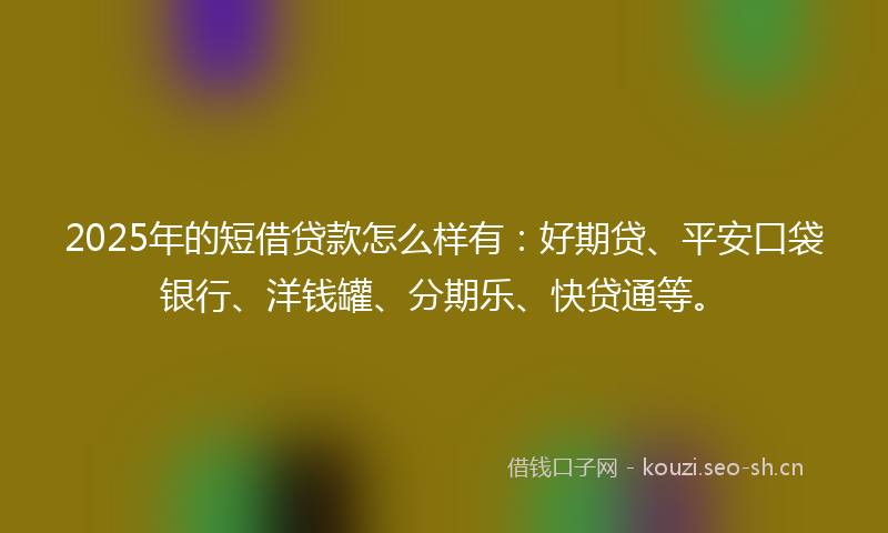 2025年的短借贷款怎么样有：好期贷、平安口袋银行、洋钱罐、分期乐、快贷通等。