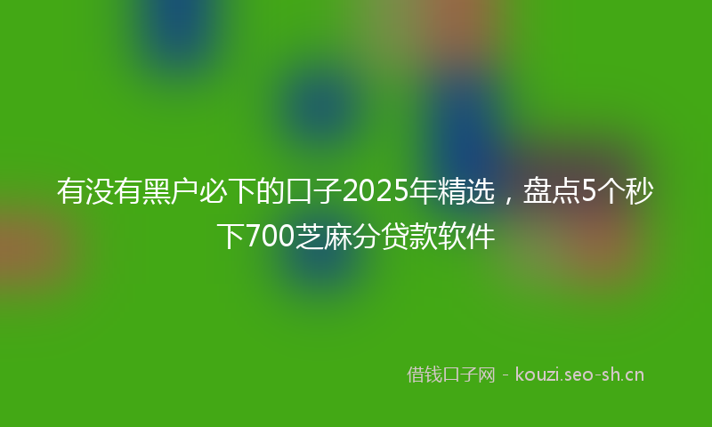有没有黑户必下的口子2025年精选，盘点5个秒下700芝麻分贷款软件
