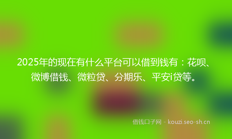 2025年的现在有什么平台可以借到钱有：花呗、微博借钱、微粒贷、分期乐、平安i贷等。