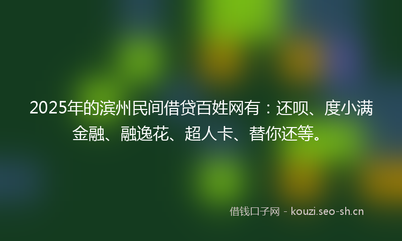 2025年的滨州民间借贷百姓网有：还呗、度小满金融、融逸花、超人卡、替你还等。