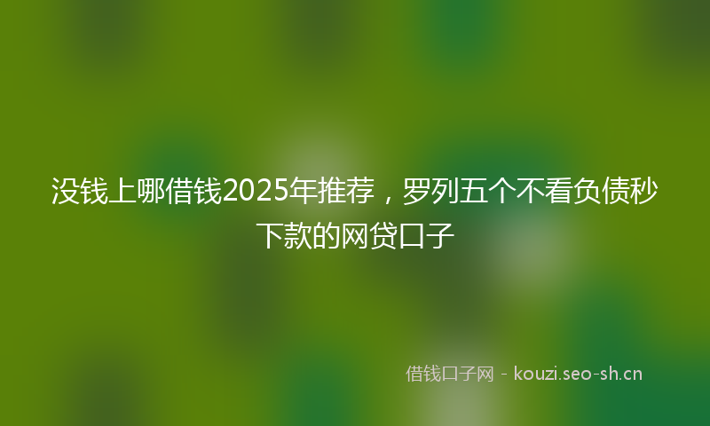 没钱上哪借钱2025年推荐，罗列五个不看负债秒下款的网贷口子
