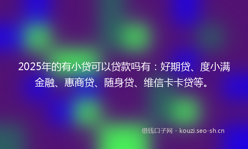2025年的有小贷可以贷款吗有：好期贷、度小满金融、惠商贷、随身贷、维信卡卡贷等。