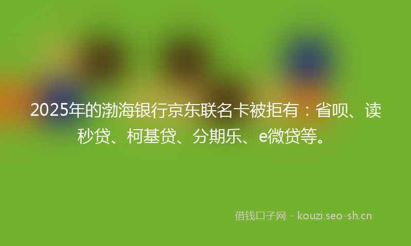 2025年的渤海银行京东联名卡被拒有：省呗、读秒贷、柯基贷、分期乐、e微贷等。