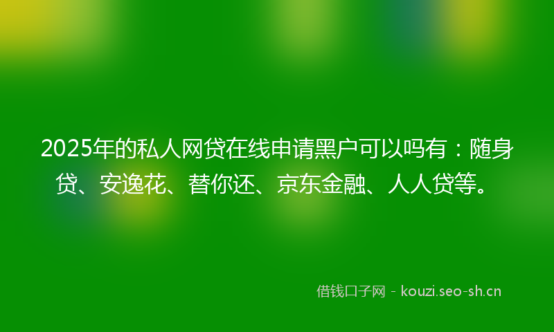 2025年的私人网贷在线申请黑户可以吗有：随身贷、安逸花、替你还、京东金融、人人贷等。