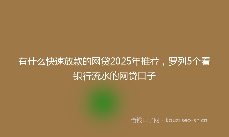 有什么快速放款的网贷2025年推荐，罗列5个看银行流水的网贷口子