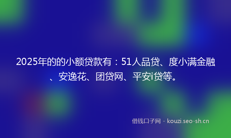 2025年的的小额贷款有：51人品贷、度小满金融、安逸花、团贷网、平安i贷等。