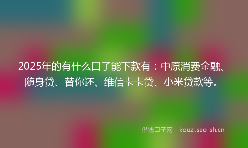 2025年的有什么口子能下款有：中原消费金融、随身贷、替你还、维信卡卡贷、小米贷款等。