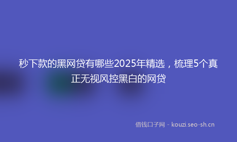秒下款的黑网贷有哪些2025年精选，梳理5个真正无视风控黑白的网贷