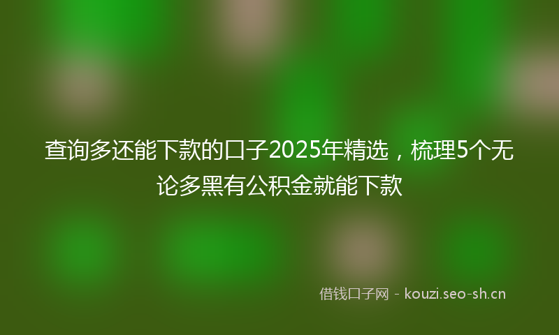 查询多还能下款的口子2025年精选，梳理5个无论多黑有公积金就能下款