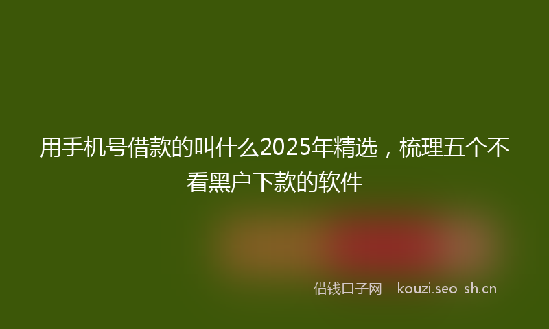 用手机号借款的叫什么2025年精选，梳理五个不看黑户下款的软件