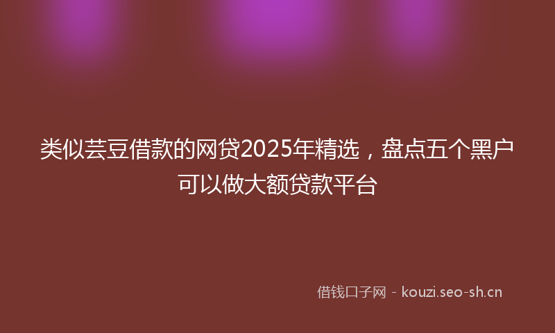 类似芸豆借款的网贷2025年精选，盘点五个黑户可以做大额贷款平台