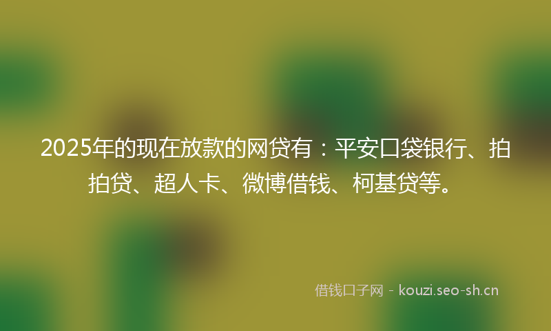 2025年的现在放款的网贷有：平安口袋银行、拍拍贷、超人卡、微博借钱、柯基贷等。