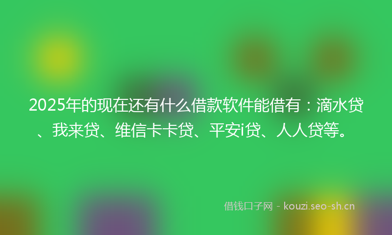 2025年的现在还有什么借款软件能借有：滴水贷、我来贷、维信卡卡贷、平安i贷、人人贷等。