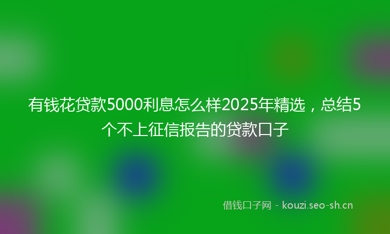 有钱花贷款5000利息怎么样2025年精选，总结5个不上征信报告的贷款口子