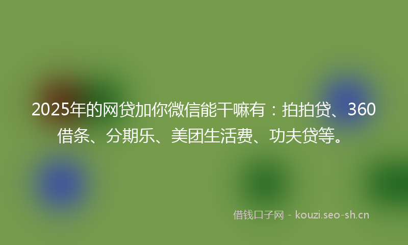 2025年的网贷加你微信能干嘛有：拍拍贷、360借条、分期乐、美团生活费、功夫贷等。