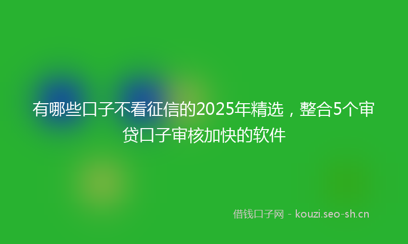 有哪些口子不看征信的2025年精选，整合5个审贷口子审核加快的软件