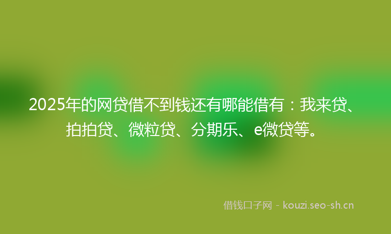 2025年的网贷借不到钱还有哪能借有：我来贷、拍拍贷、微粒贷、分期乐、e微贷等。