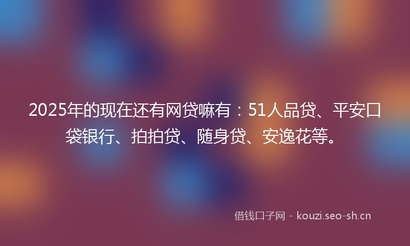 2025年的现在还有网贷嘛有：51人品贷、平安口袋银行、拍拍贷、随身贷、安逸花等。