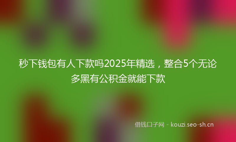 秒下钱包有人下款吗2025年精选，整合5个无论多黑有公积金就能下款