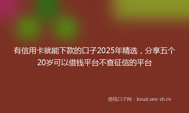 有信用卡就能下款的口子2025年精选，分享五个20岁可以借钱平台不查征信的平台