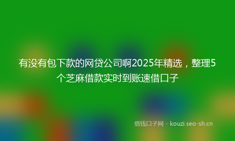 有没有包下款的网贷公司啊2025年精选，整理5个芝麻借款实时到账速借口子