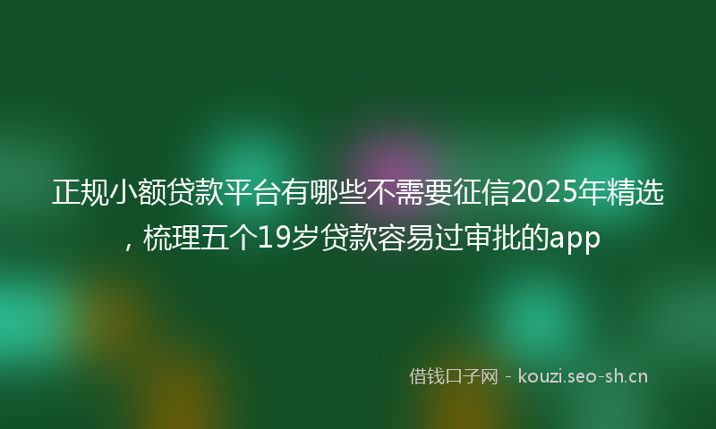 正规小额贷款平台有哪些不需要征信2025年精选，梳理五个19岁贷款容易过审批的app