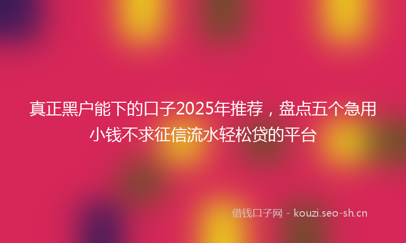 真正黑户能下的口子2025年推荐，盘点五个急用小钱不求征信流水轻松贷的平台