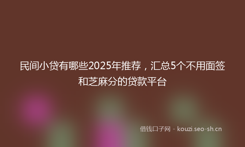 民间小贷有哪些2025年推荐，汇总5个不用面签和芝麻分的贷款平台