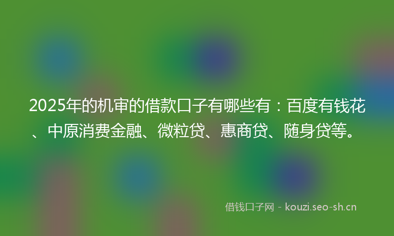 2025年的机审的借款口子有哪些有：百度有钱花、中原消费金融、微粒贷、惠商贷、随身贷等。