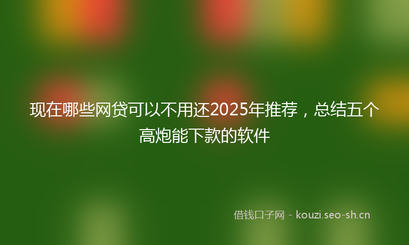 现在哪些网贷可以不用还2025年推荐，总结五个高炮能下款的软件