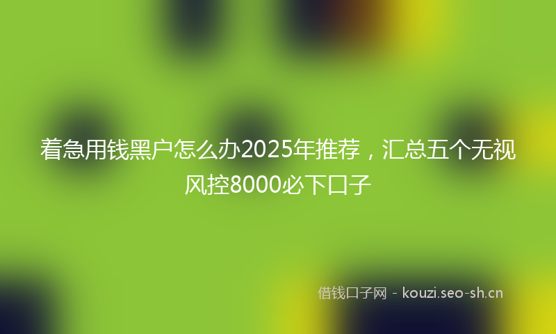 着急用钱黑户怎么办2025年推荐，汇总五个无视风控8000必下口子