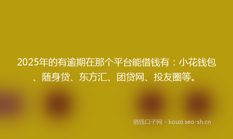 2025年的有逾期在那个平台能借钱有：小花钱包、随身贷、东方汇、团贷网、投友圈等。