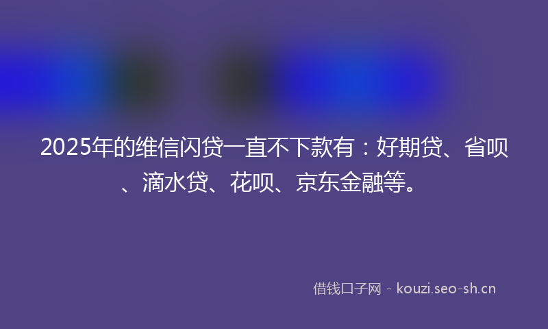 2025年的维信闪贷一直不下款有：好期贷、省呗、滴水贷、花呗、京东金融等。