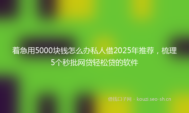 着急用5000块钱怎么办私人借2025年推荐，梳理5个秒批网贷轻松贷的软件