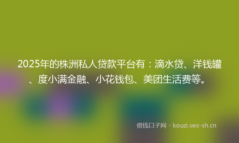 2025年的株洲私人贷款平台有：滴水贷、洋钱罐、度小满金融、小花钱包、美团生活费等。