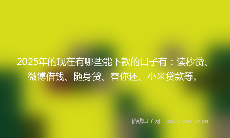 2025年的现在有哪些能下款的口子有：读秒贷、微博借钱、随身贷、替你还、小米贷款等。