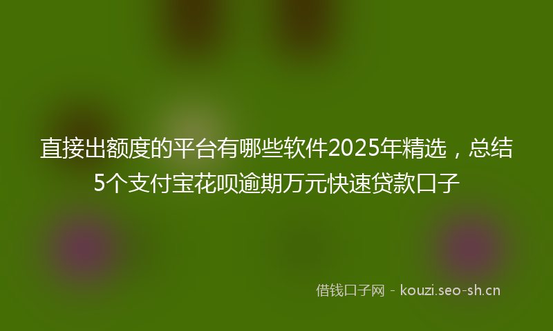 直接出额度的平台有哪些软件2025年精选，总结5个支付宝花呗逾期万元快速贷款口子