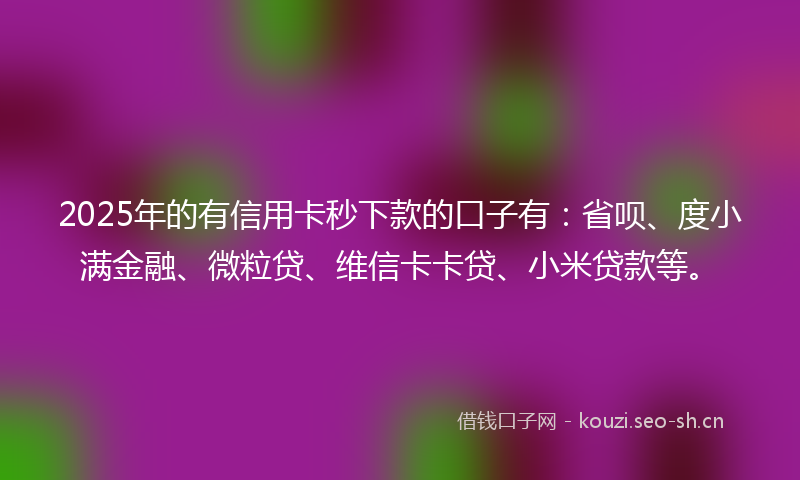 2025年的有信用卡秒下款的口子有：省呗、度小满金融、微粒贷、维信卡卡贷、小米贷款等。